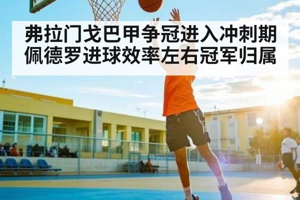 弗拉门戈巴甲争冠进入冲刺期 佩德罗进球效率左右冠军归属